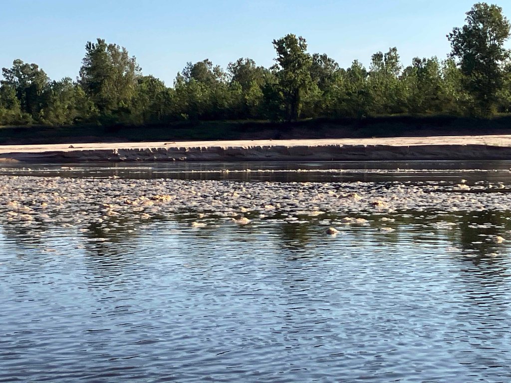 Kayak paddle scenery picture, Red River,, Arkansas, Hwy 160 Ramp www.SawdustRiver.com