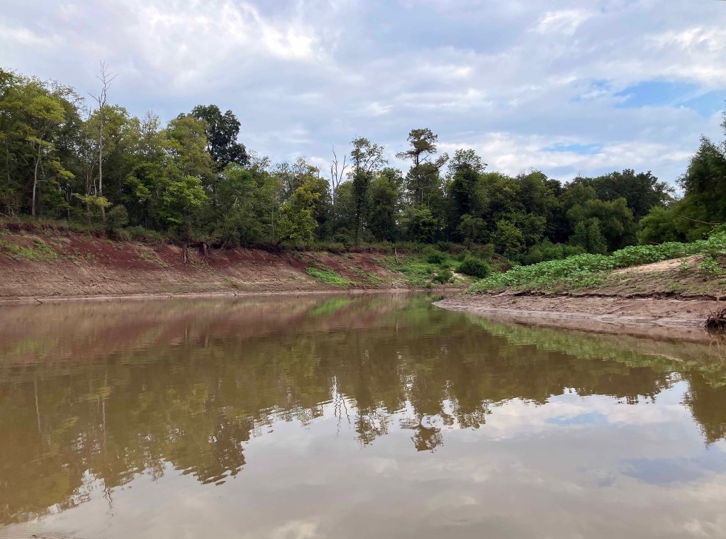 Kayak paddle scenery picture, Sulphur River WMA, Road 211 Launch, Texarkana Arkansas