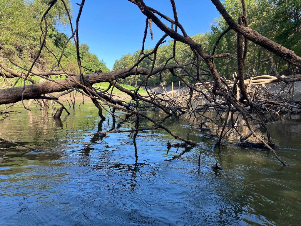Kayak paddle scenery picture, Sulphur River below Wright Patman, Hwy 59