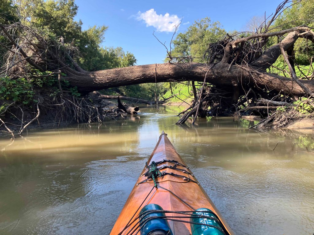 Kayak paddle scenery picture, Sulphur River, White Oak Creek WMA, Hwy TX67 Launch
