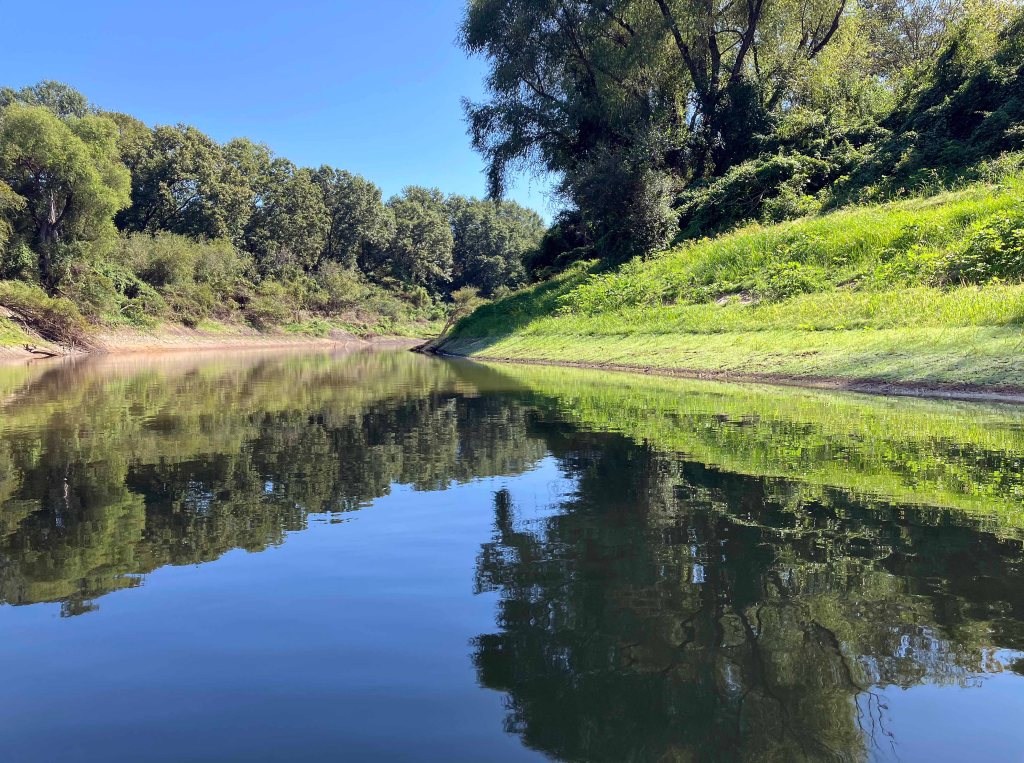 Kayak paddle scenery picture, Sulphur River below Wright Patman, Hwy 59