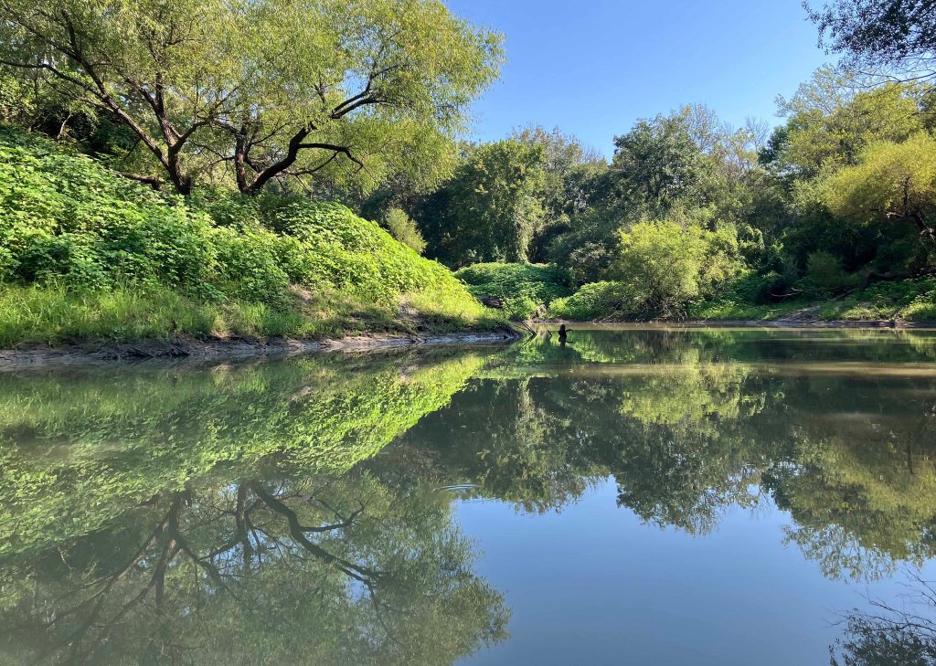Kayak paddle scenery picture, Sulphur River, White Oak Creek WMA, Hwy TX67 Launch