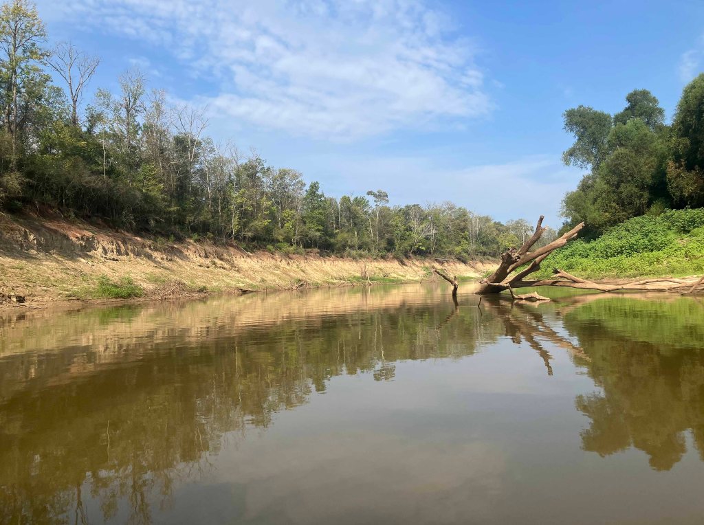 Kayak paddle scenery picture, Sulphur River, Arkansas, Hwy 71 I-49 Ramp upstream