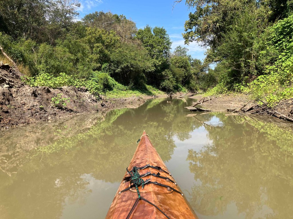 Kayak paddle scenery picture, Sulphur River, White Oak Creek WMA, Hwy TX67 Launch