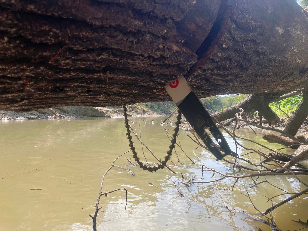Kayak paddle scenery picture, Sulphur River, White Oak Creek WMA, Hwy TX67 Launch