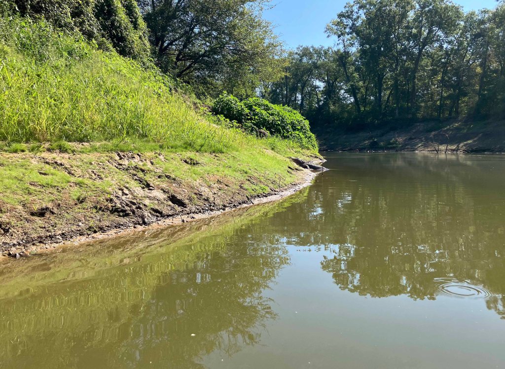 Kayak paddle scenery picture, Sulphur River below Wright Patman, Hwy 59