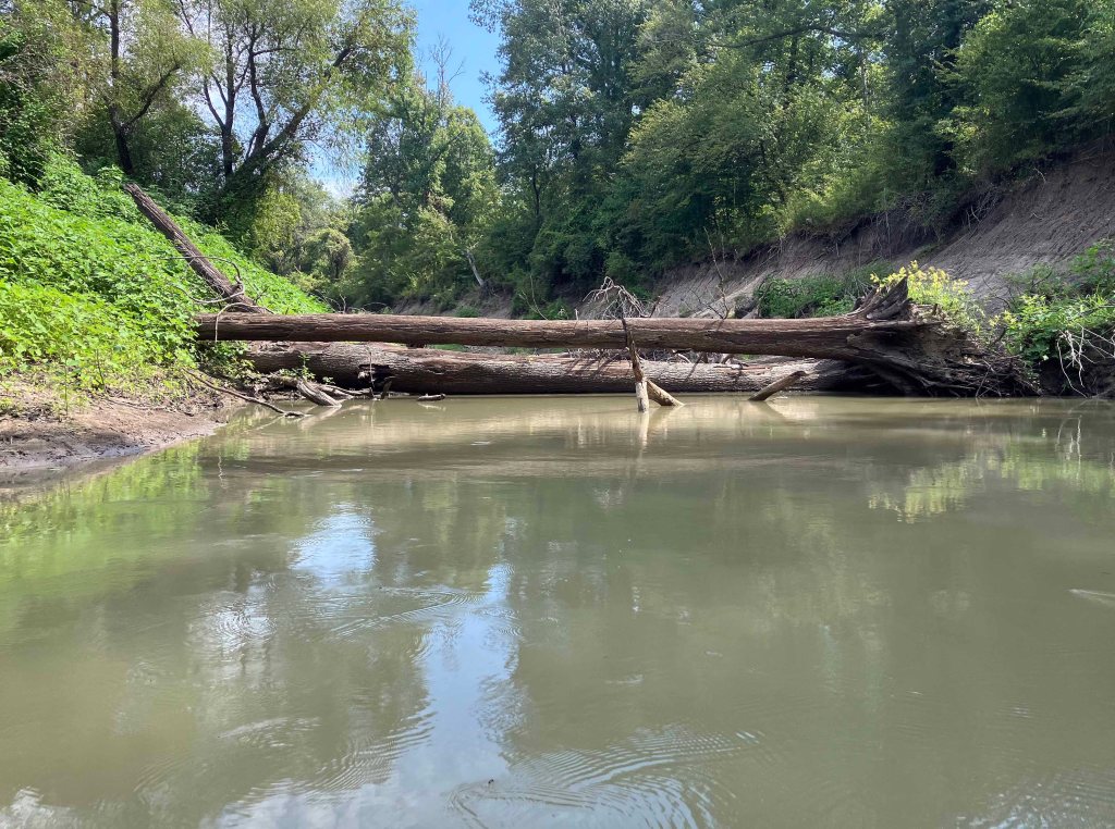 Kayak paddle scenery picture, Sulphur River, White Oak Creek WMA, Hwy TX67 Launch