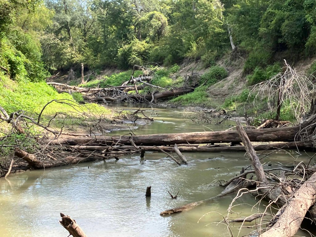 Kayak paddle scenery picture, Sulphur River, White Oak Creek WMA, Hwy TX67 Launch