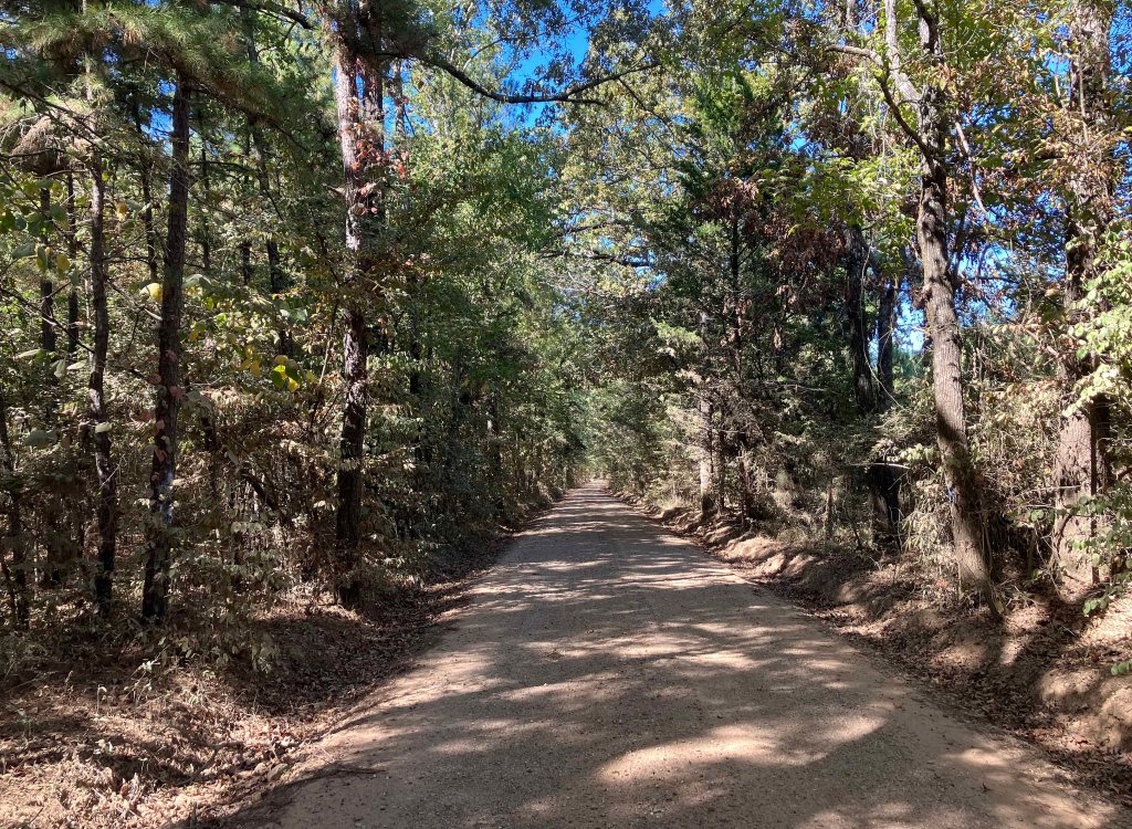 Kayak paddle scenery picture Sulphur River, 4128 Launch, above Wright Patman www.SawdustRiver.com