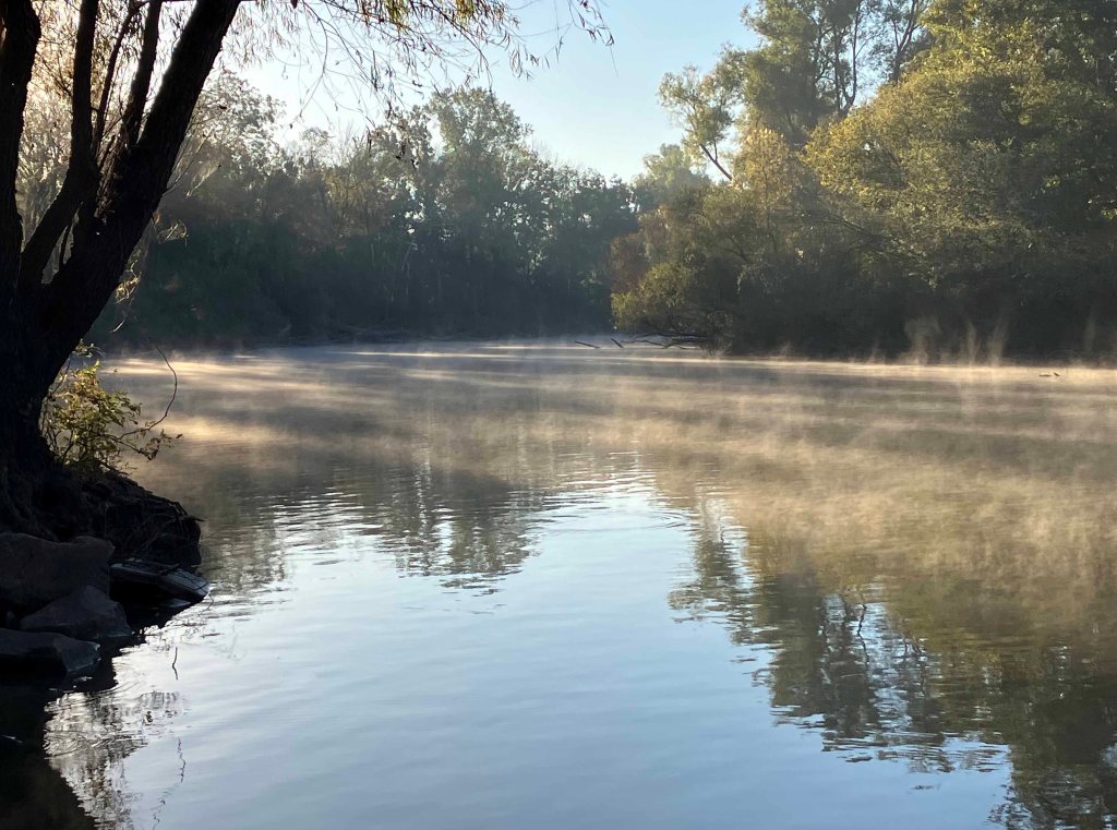 Kayak paddle scenery picture Sulphur River, 4128 Launch, above Wright Patman www.SawdustRiver.com