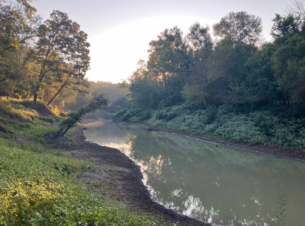 Kayak paddle scenery picture, Sulphur River, White Oak Creek WMA, launches near I-30 www.SawdustRiver.com