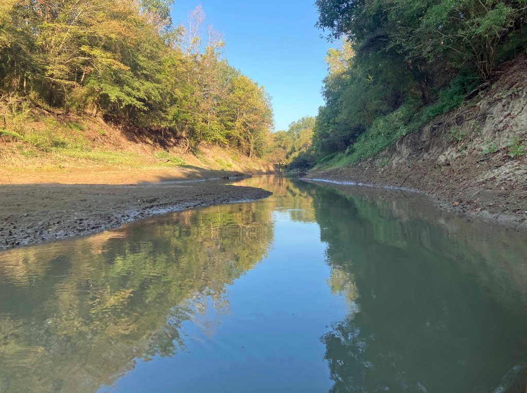 Kayak paddle scenery picture, Sulphur River, White Oak Creek WMA, launches near I-30 www.SawdustRiver.com