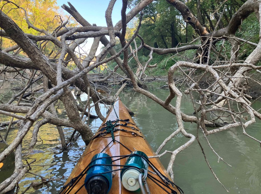 Kayak paddle scenery picture, Sulphur River, White Oak Creek WMA, launches near I-30 www.SawdustRiver.com