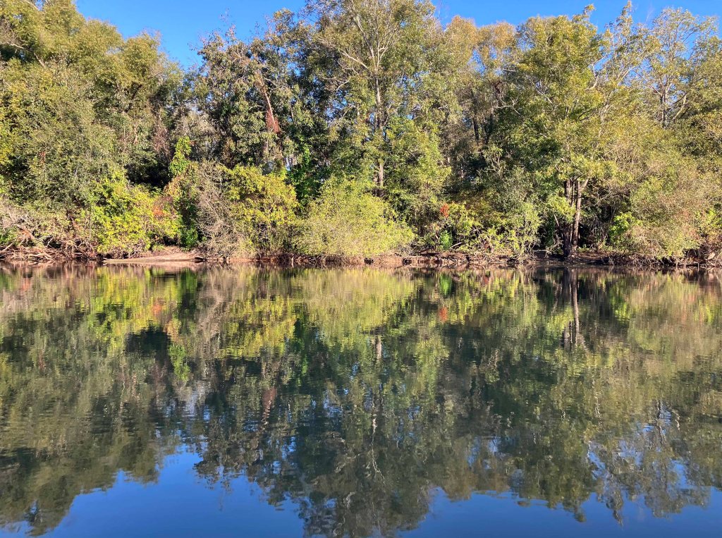 Kayak paddle scenery picture Sulphur River, Malden Lake Park Launch, Wright Patman Lake, www.SawdustRiver.com