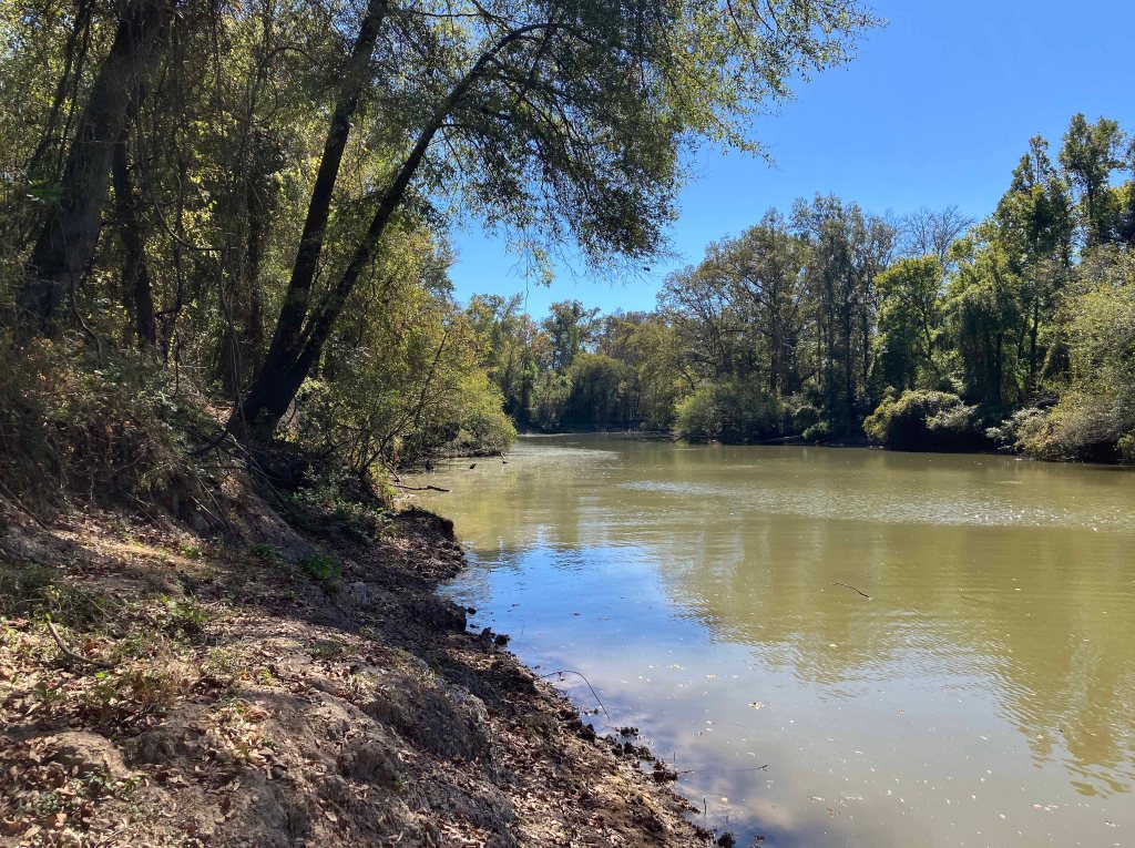 Kayak paddle scenery picture Sulphur River, 4128 Launch, above Wright Patman www.SawdustRiver.com