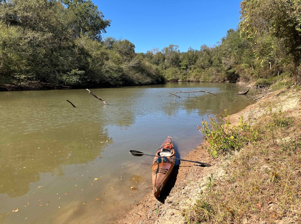 Kayak paddle scenery picture Sulphur River, 4128 Launch, above Wright Patman www.SawdustRiver.com