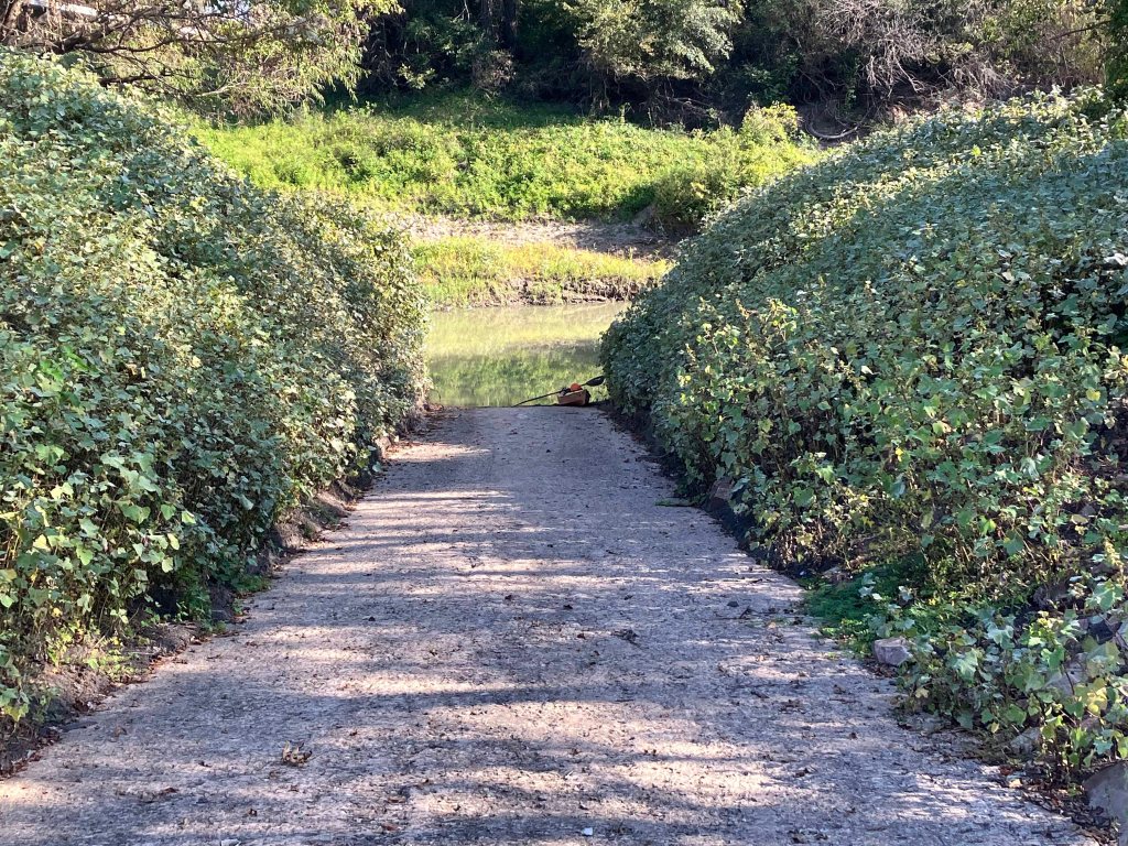 Kayak paddle scenery picture, Sulphur River, White Oak Creek WMA, launches near I-30 www.SawdustRiver.com
