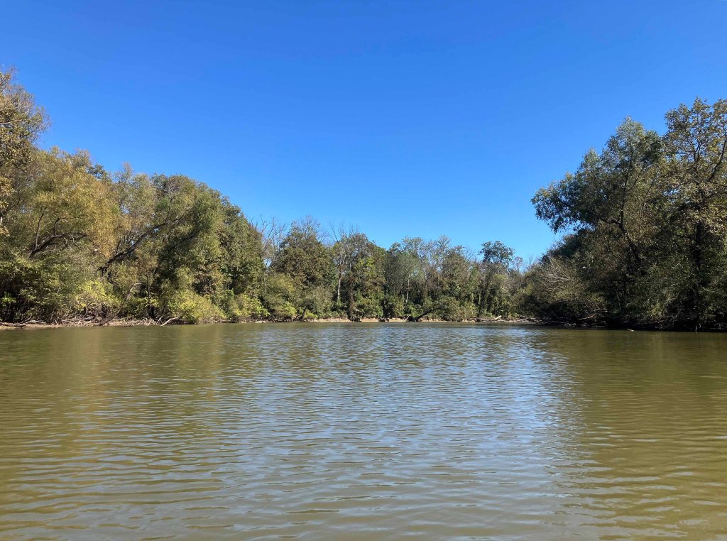 Kayak paddle scenery picture Sulphur River, 4128 Launch, above Wright Patman www.SawdustRiver.com