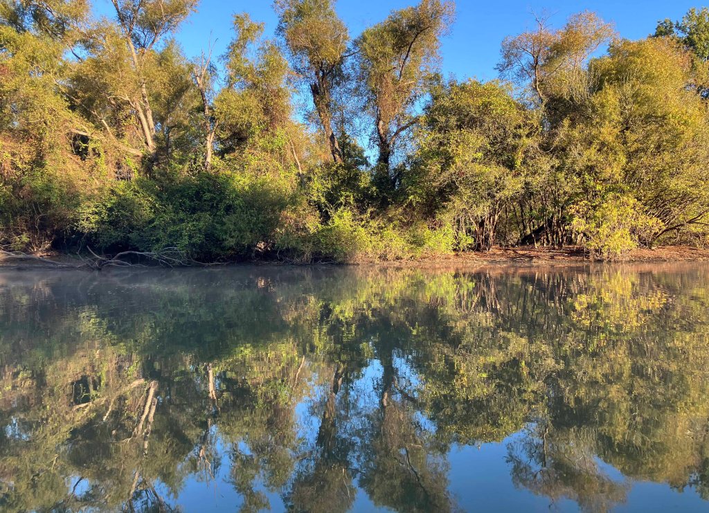 Kayak paddle scenery picture Sulphur River, 4128 Launch, above Wright Patman www.SawdustRiver.com
