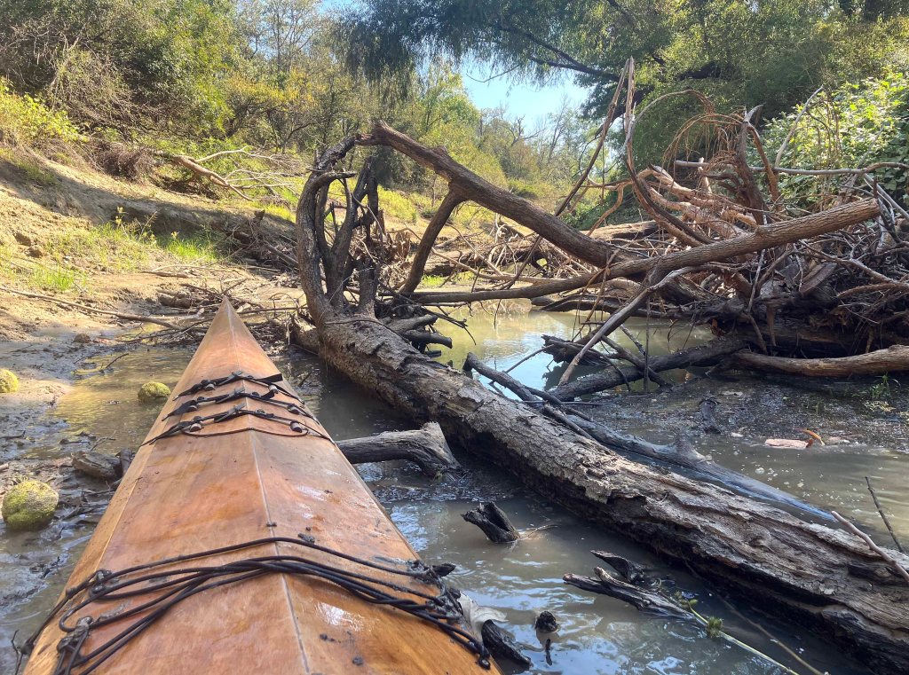 Kayak paddle scenery picture, Sulphur River, White Oak Creek WMA, launches near I-30 www.SawdustRiver.com