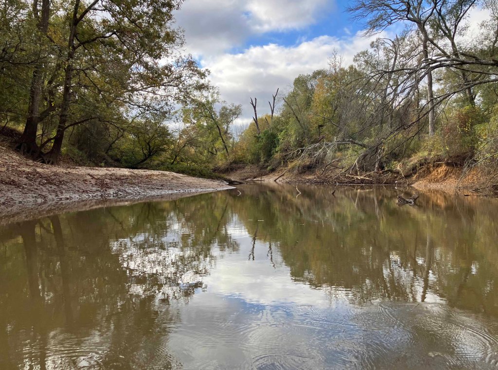 Kayak paddle scenery picture Neches River, NWR, Hwy 79 Launch, going down, www.SawdustRiver.com