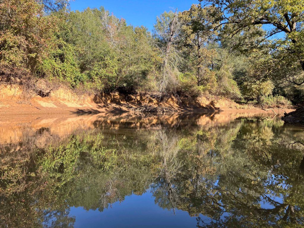 Kayak paddle scenery picture Neches River, Hwy 79 Launch, going up, Cherokee Neches, www.SawdustRiver.com