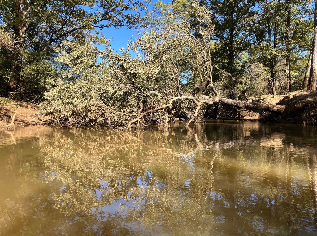 Kayak paddle scenery picture Neches River, Hwy 79 Launch, going up, Cherokee Neches, www.SawdustRiver.com