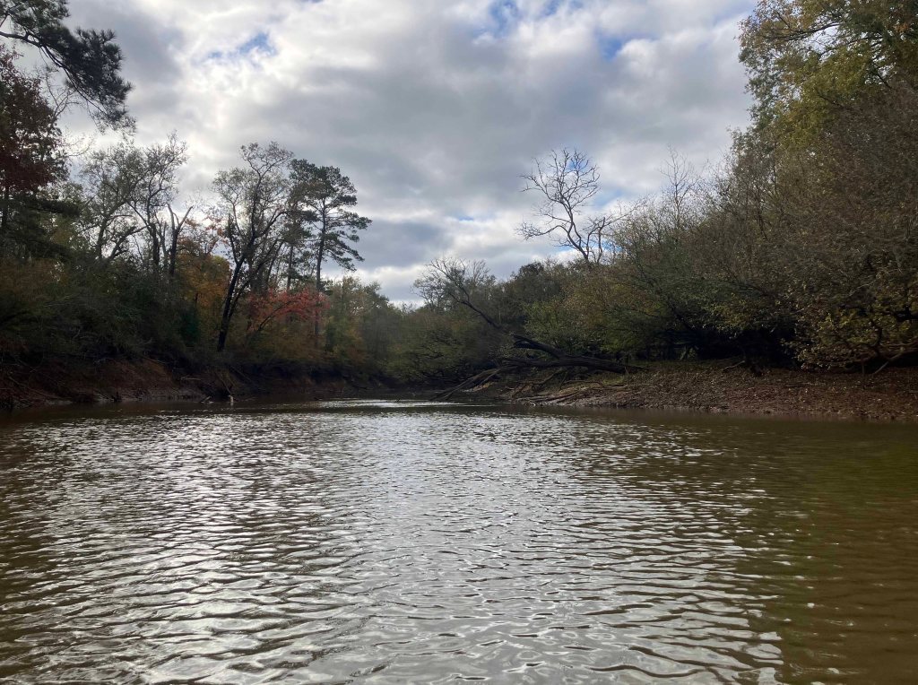 Kayak paddle scenery picture Neches River, NWR, Hwy 79 Launch, going down, www.SawdustRiver.com