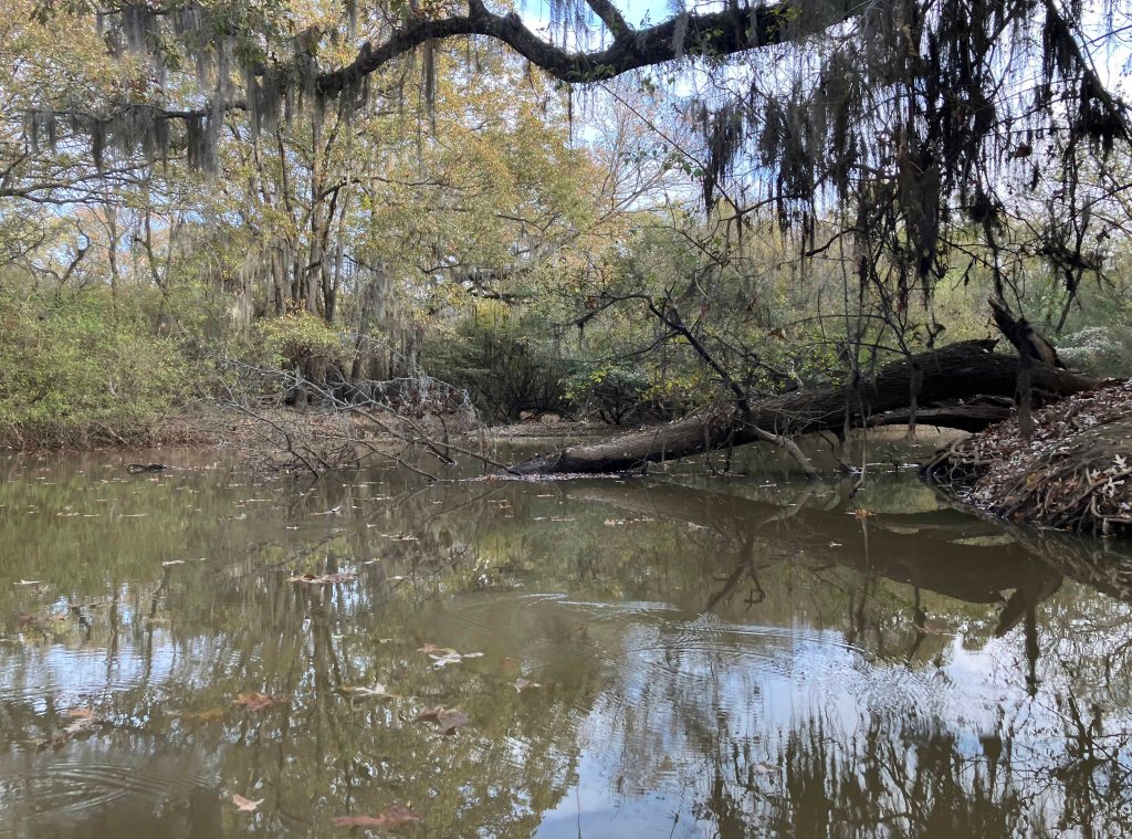 Kayak paddle scenery picture Neches River, Hwy 84 Launch, near Palestine, going up, www.SawdustRiver.com