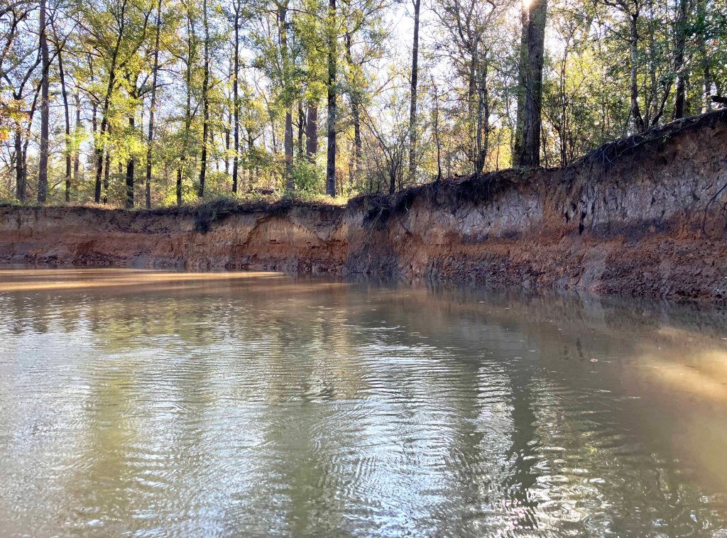 Kayak paddle scenery picture Neches River, Hwy 7 Launch, Crockett Trail, going up, www.SawdustRiver.com