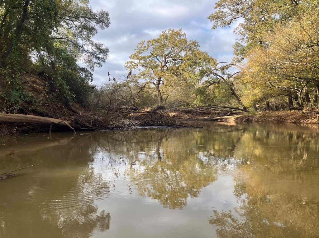 Kayak paddle scenery picture Neches River, NWR, Hwy 79 Launch, going down, www.SawdustRiver.com