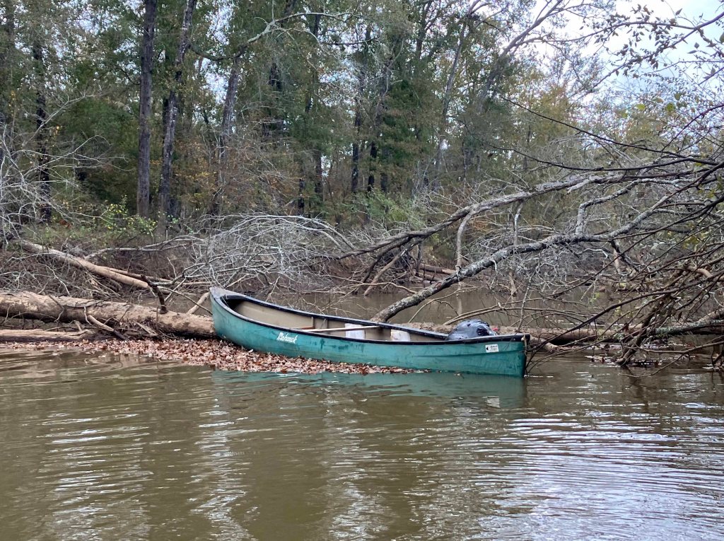 Kayak paddle scenery picture Neches River, Hwy 84 Launch, near Palestine, going up, www.SawdustRiver.com
