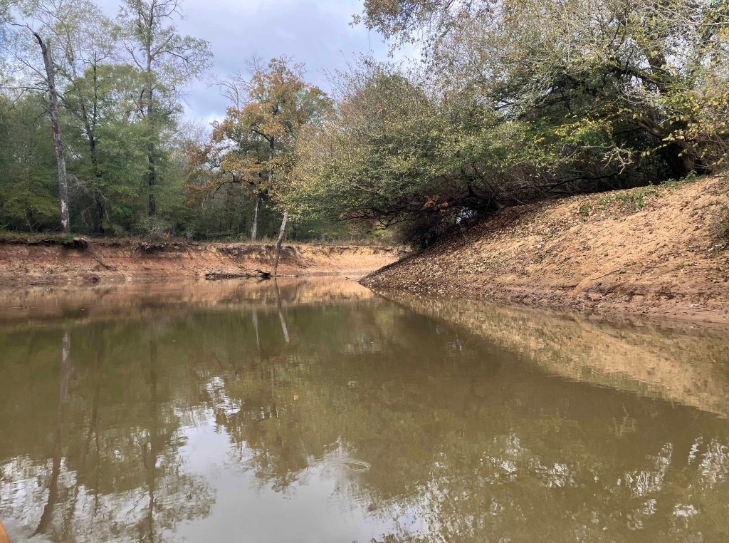 Kayak paddle scenery picture Neches River, NWR, Hwy 79 Launch, going down, www.SawdustRiver.com
