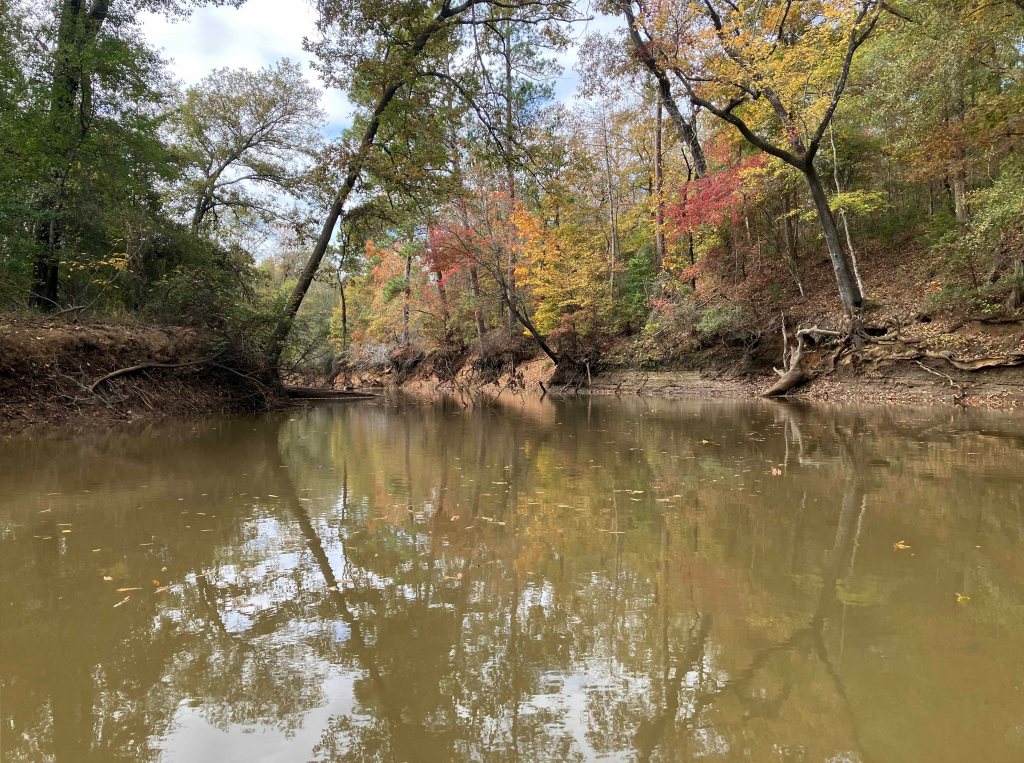 Kayak paddle scenery picture Neches River, NWR, Hwy 79 Launch, going down, www.SawdustRiver.com