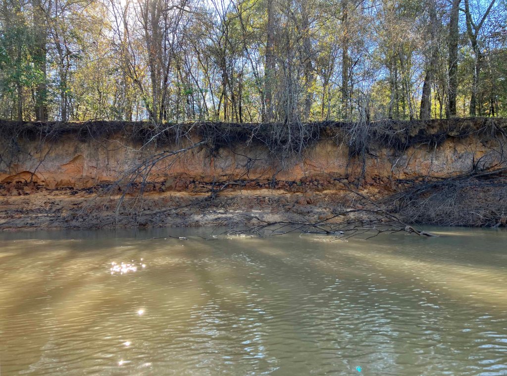 Kayak paddle scenery picture Neches River, Hwy 7 Launch, Crockett Trail, going up, www.SawdustRiver.com