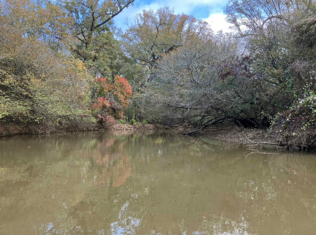 Kayak paddle scenery picture Neches River, Hwy 84 Launch, near Palestine, going up, www.SawdustRiver.com