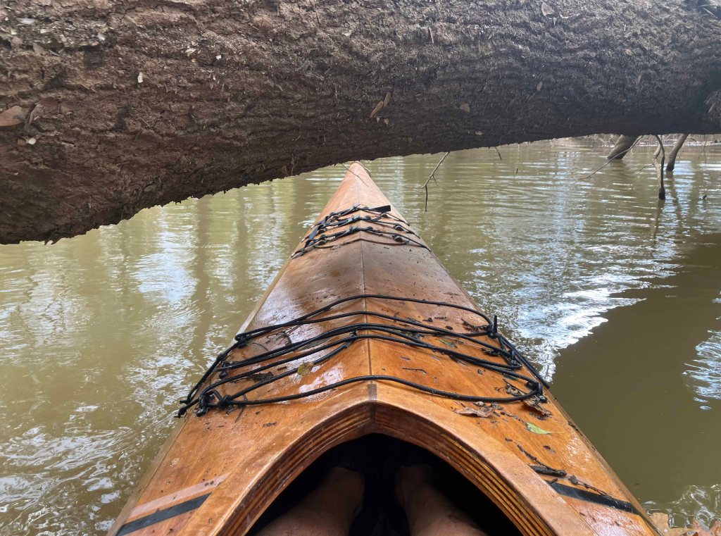 Kayak paddle scenery picture Neches River, Hwy 84 Launch, near Palestine, going up, www.SawdustRiver.com
