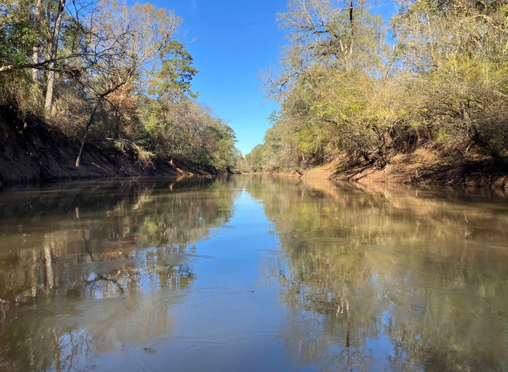 Kayak paddle scenery picture Neches River, Hwy 7 Launch, Crockett Trail, going up, www.SawdustRiver.com