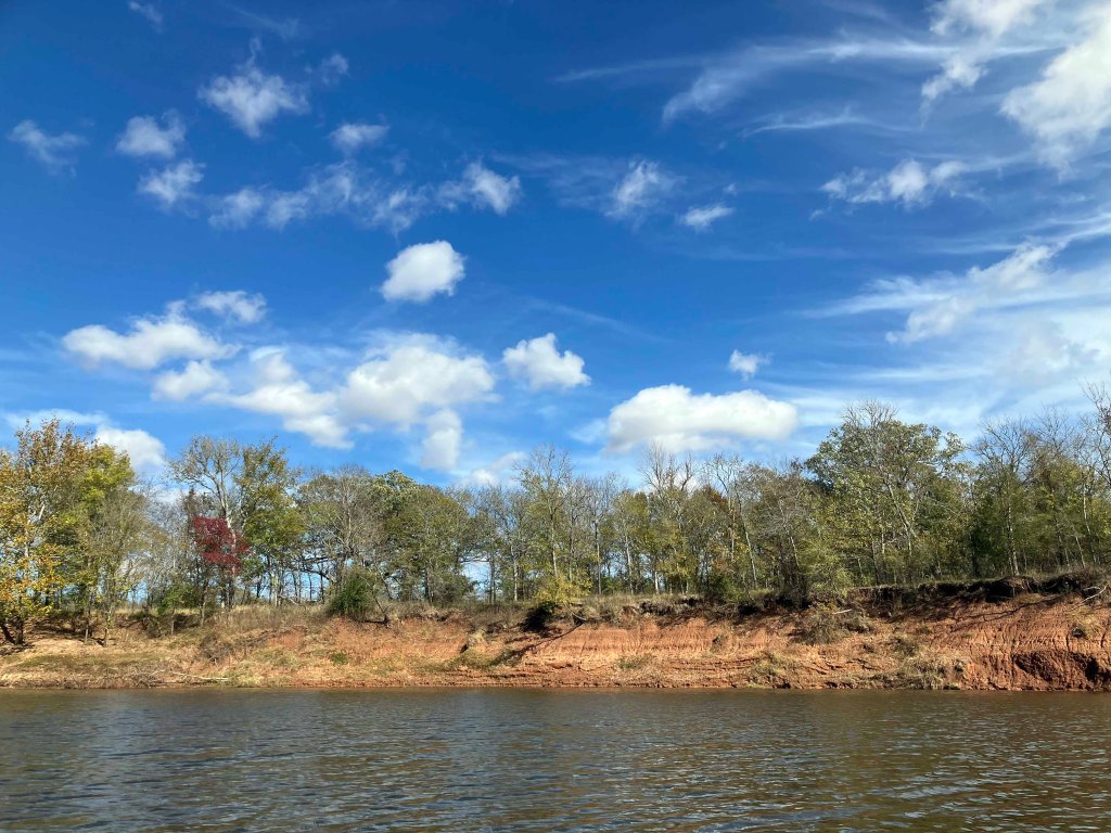 Kayak paddle scenery picture Twelve Mile Bayou, Soda Lake WMA, below Caddo, LA, www.SawdustRiver.com