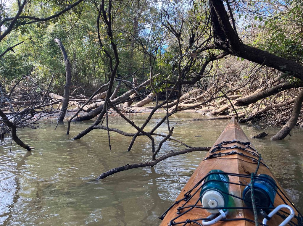 Kayak paddle scenery picture Neches River, NWR, Hwy 79 Launch, going down, www.SawdustRiver.com