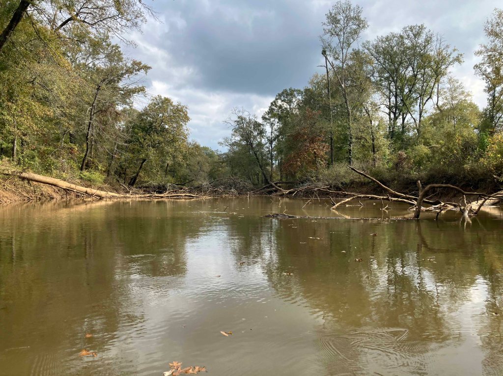 Kayak paddle scenery picture Neches River, Hwy 84 Launch, near Palestine, going up, www.SawdustRiver.com
