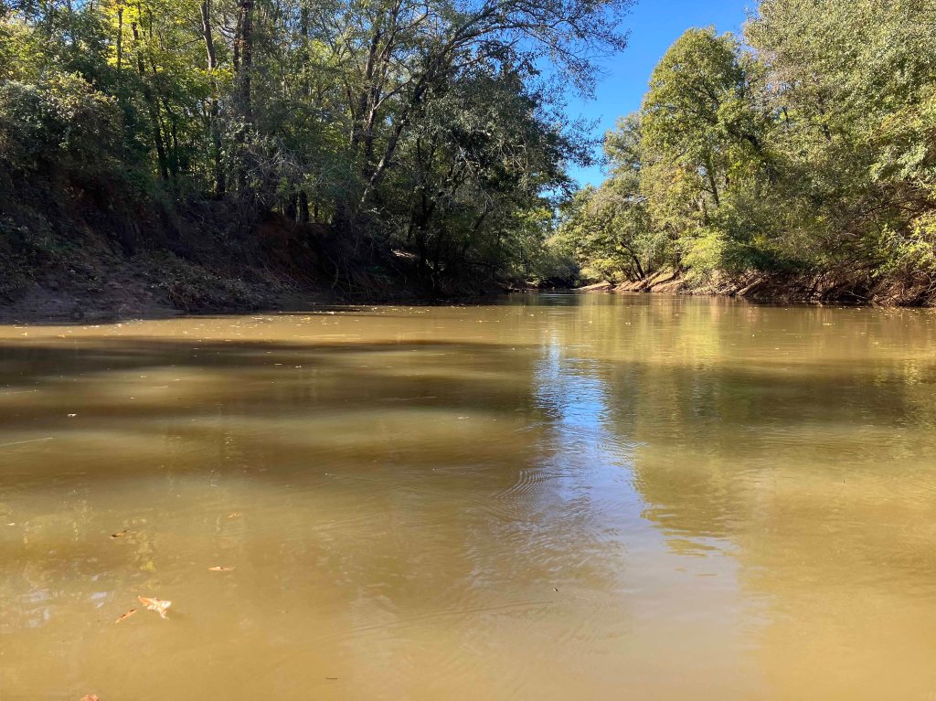 Kayak paddle scenery picture Neches River, Hwy 79 Launch, going up, Cherokee Neches, www.SawdustRiver.com