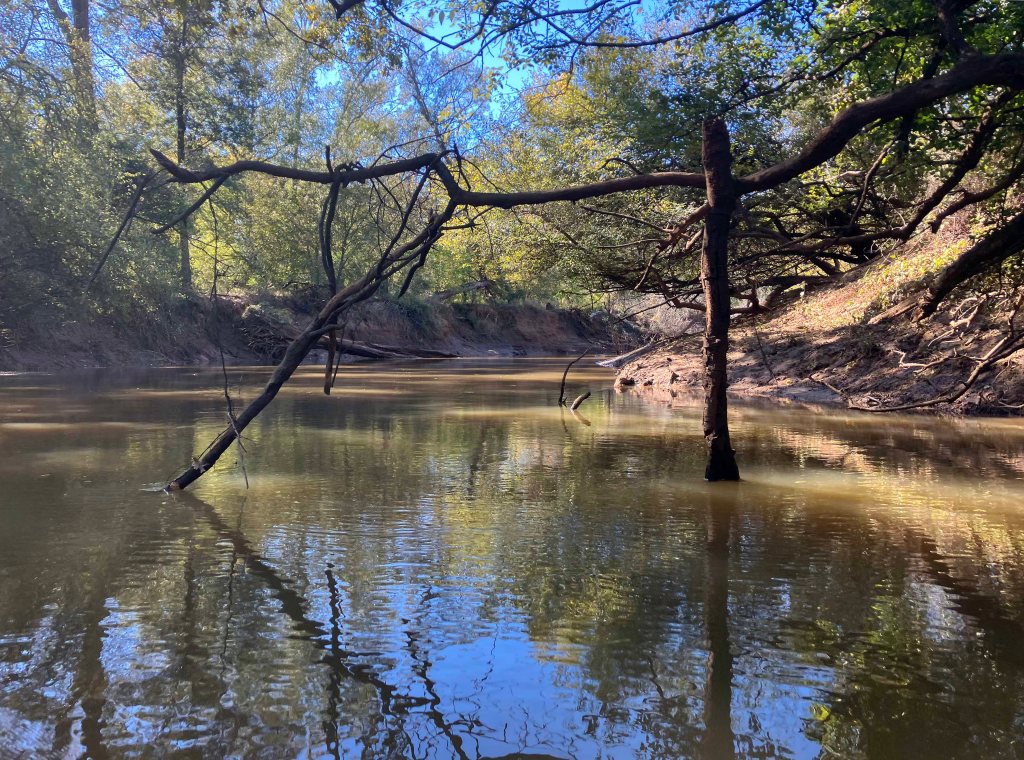 Kayak paddle scenery picture Neches River, Hwy 79 Launch, going up, Cherokee Neches, www.SawdustRiver.com