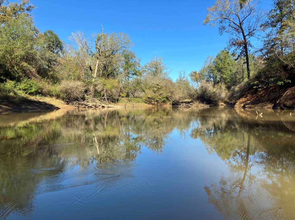 Kayak paddle scenery picture Neches River, Hwy 7 Launch, Crockett Trail, going up, www.SawdustRiver.com