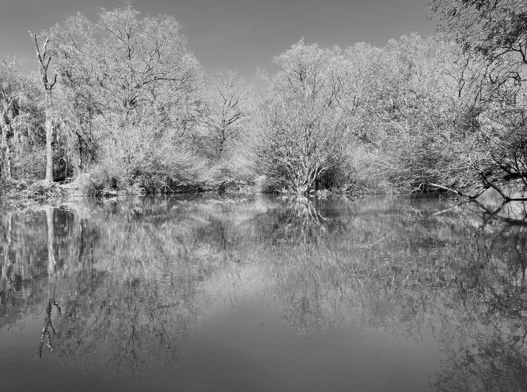 Kayak paddle scenery picture Neches River, Hwy 84 Access Launch, going down, www.SawdustRiver.com