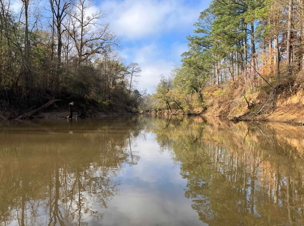 Kayak paddle scenery picture Neches River, Hwy 21 Launch, going up, www.SawdustRiver.com