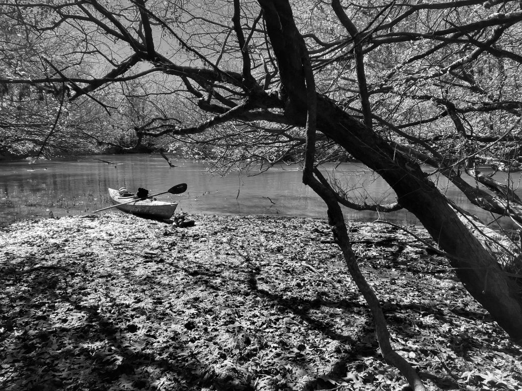 Kayak paddle scenery picture Neches River, Hwy 84 Access Launch, going down, www.SawdustRiver.com