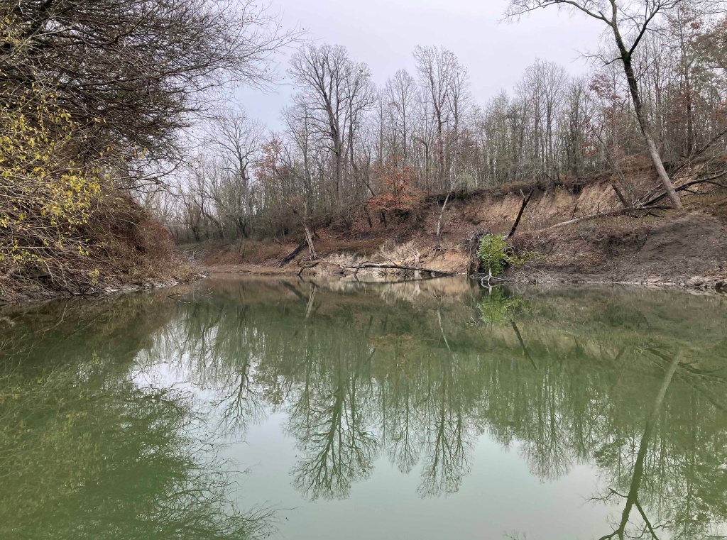 Kayak paddle scenery picture Sulphur River, Hwy 259 Launch going upstream, above Wright Patman www.SawdustRiver.com