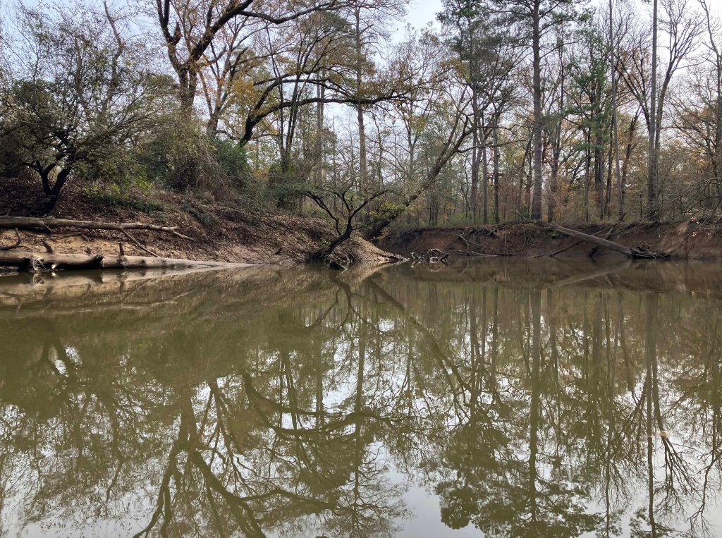 Kayak paddle scenery picture Neches River, Hwy 294 Launch, going up, www.SawdustRiver.com