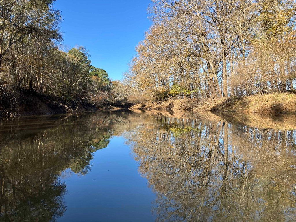 Kayak paddle scenery picture Neches River, CR 1155 2829 Launch, going up, www.SawdustRiver.com